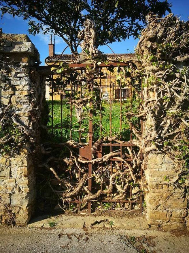 tumblr_p8ddv8TIR01qin4ceo1_1280